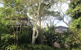 Treehouse Cottage