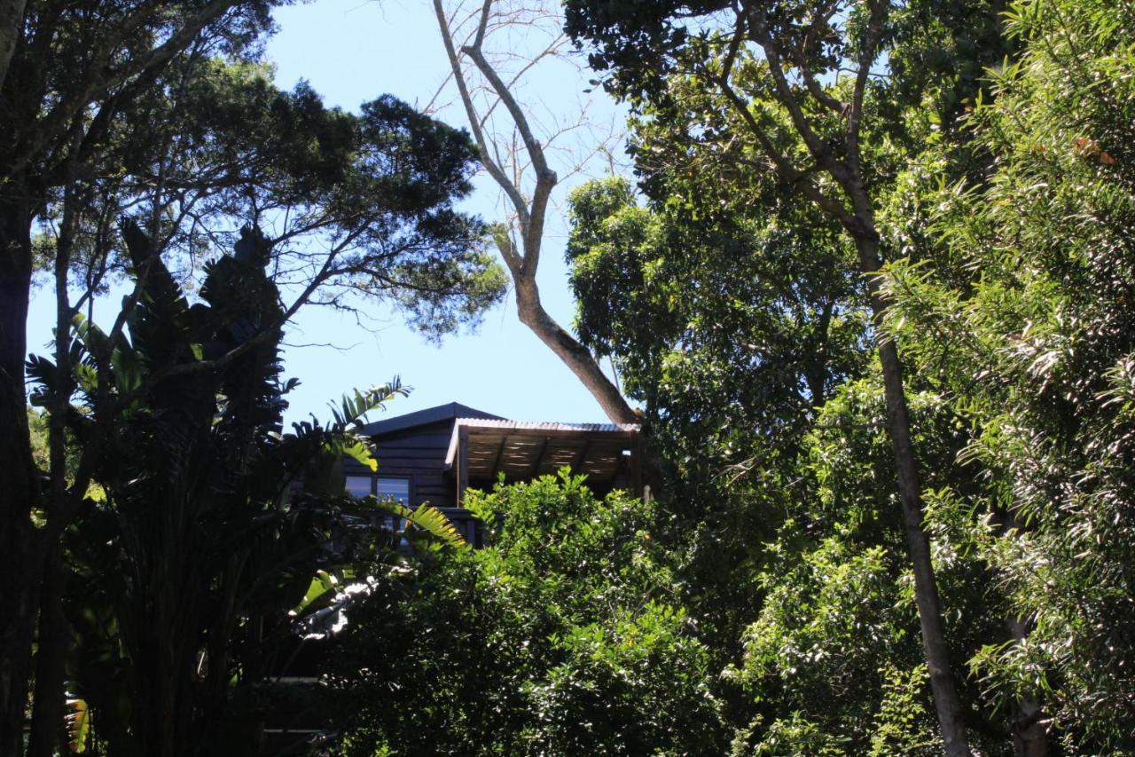 Treehouse Cottage The Crags Exterior foto
