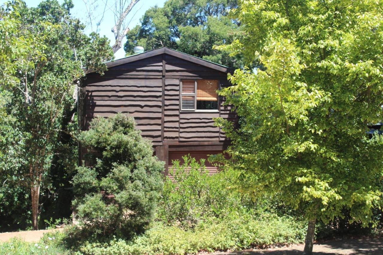 Treehouse Cottage The Crags Exterior foto