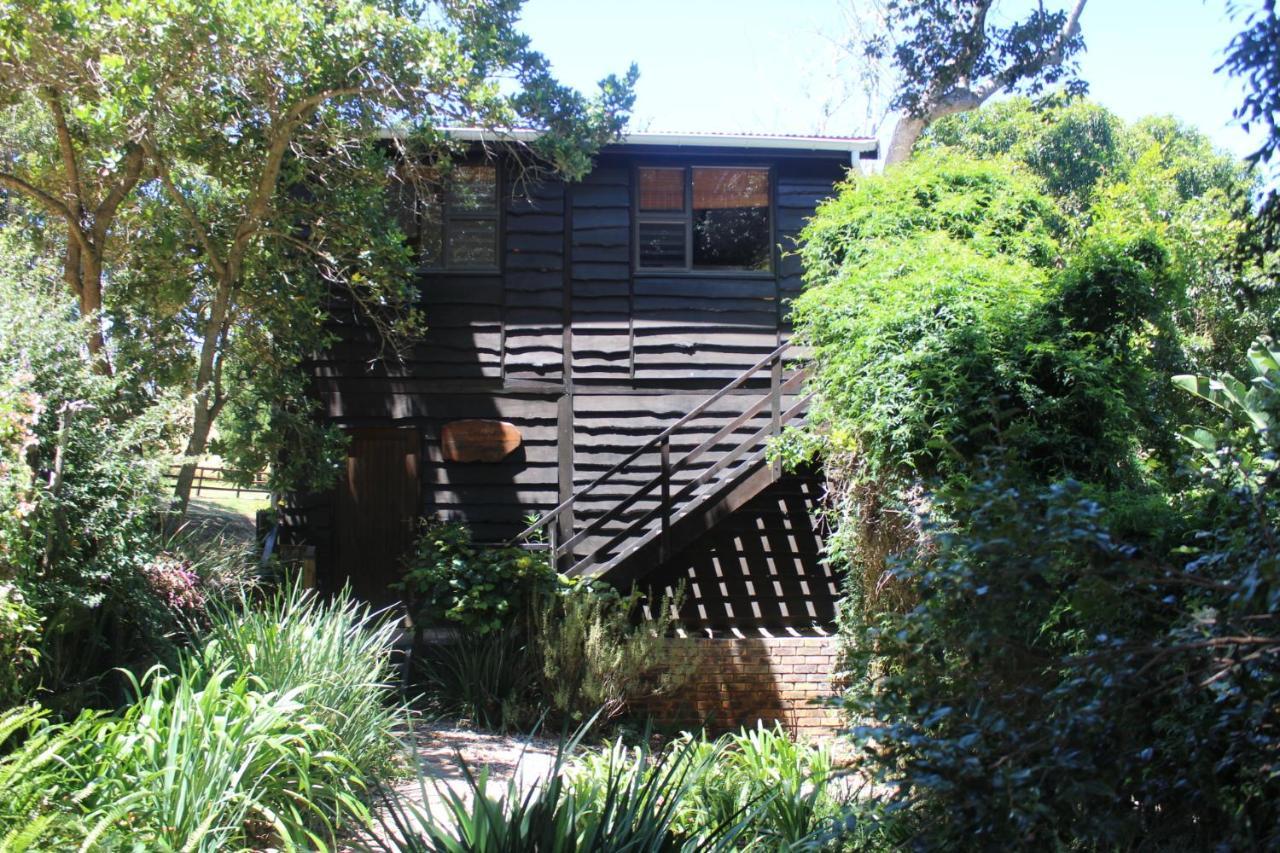 Treehouse Cottage The Crags Exterior foto